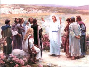 reflexao-para-o-16o-domingo-do-tempo-comum