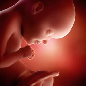 Não ao aborto