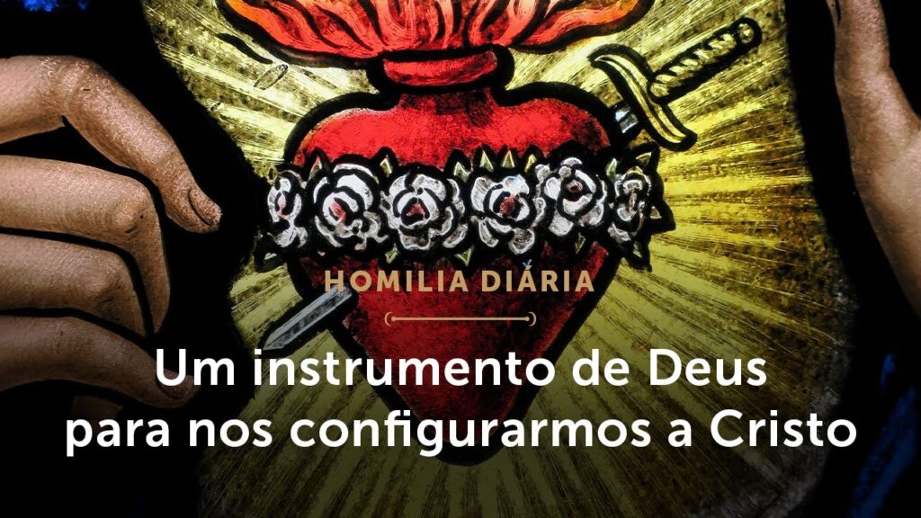 Homilia Diária | A Mãe que ama com o Coração do Filho (Sábado da 10.ª Semana do Tempo Comum)