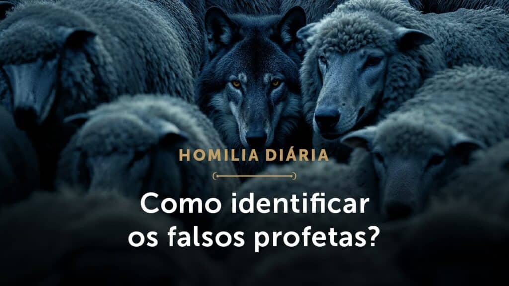 Homilia Diária | O critério para identificar os falsos profetas (Quarta-feira da 12ª S. do T. Comum)