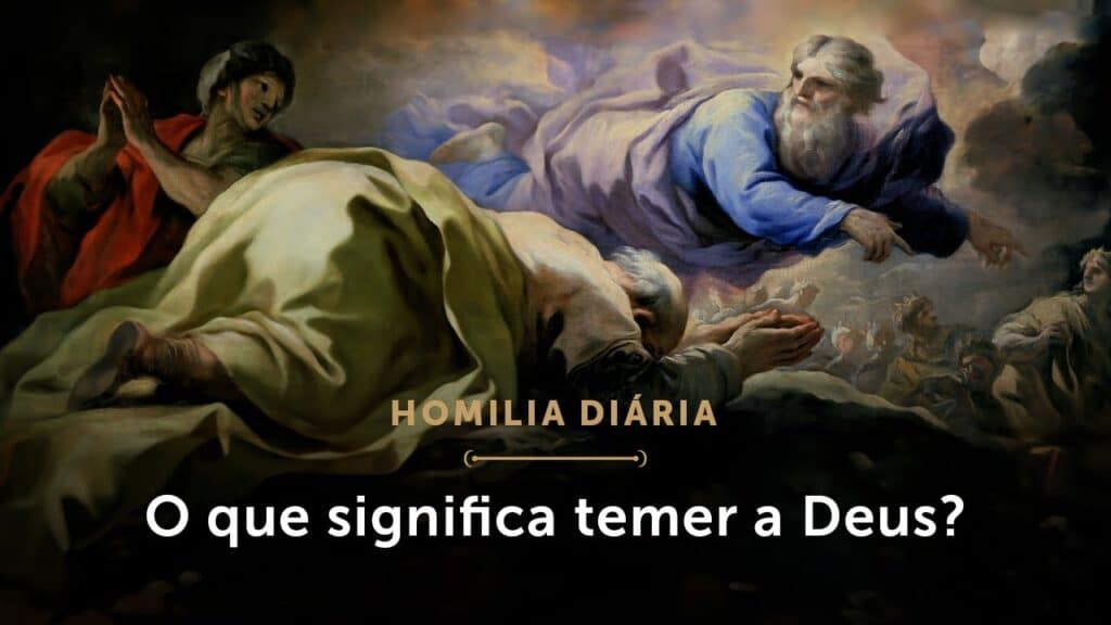 Homilia Diária | O tudo de Deus e o nada da criatura (Sábado da 14.ª Semana do Tempo Comum)