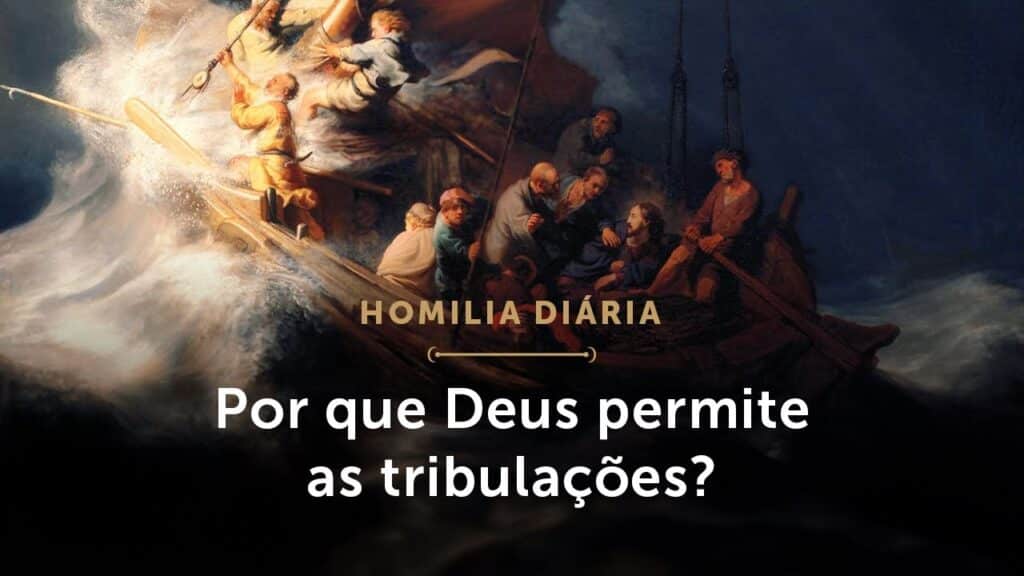 Homilia Diária | Por que Deus permite as tribulações? (Terça-feira da 13ª Semana do Tempo Comum)