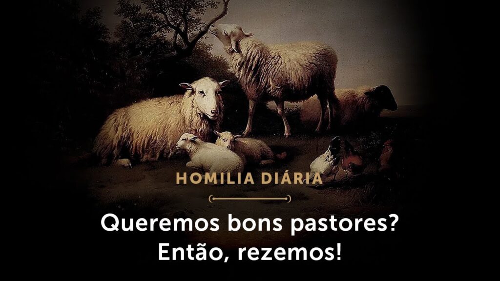 Homilia Diária | Queremos bons pastores? Então, rezemos! (Terça-feira da 14.ª Semana do Tempo Comum)