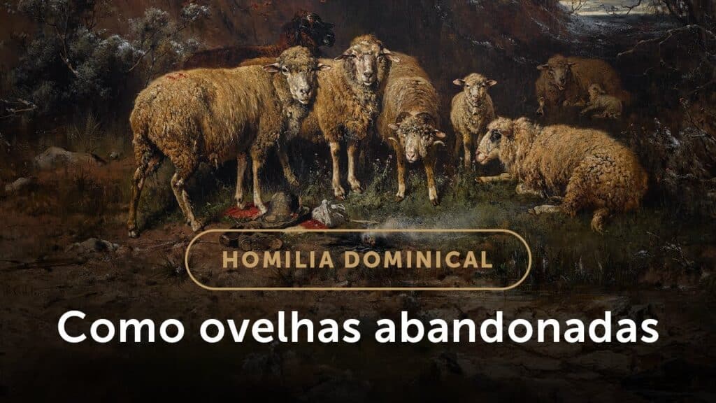 Homilia Dominical | A esperança das ovelhas abandonadas (16.º Domingo do Tempo Comum)