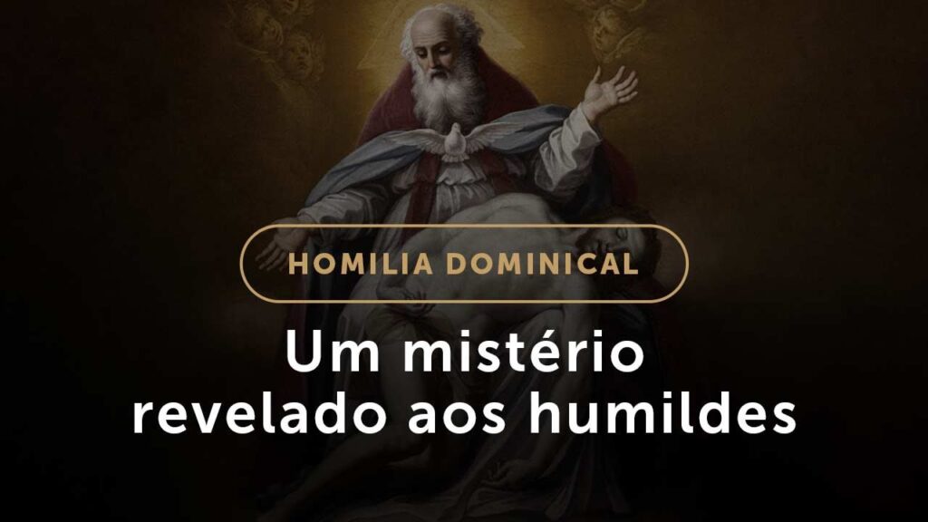 Homilia de Domingo | Solenidade da Santíssima Trindade 2021 — Um mistério revelado aos humildes