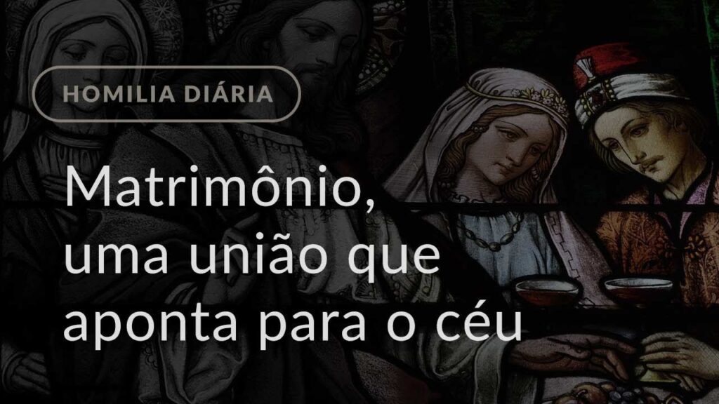 Matrimônio, uma união que aponta para o céu (Homilia Diária.1096: Sexta-feira da 7.ª Semana Comum)