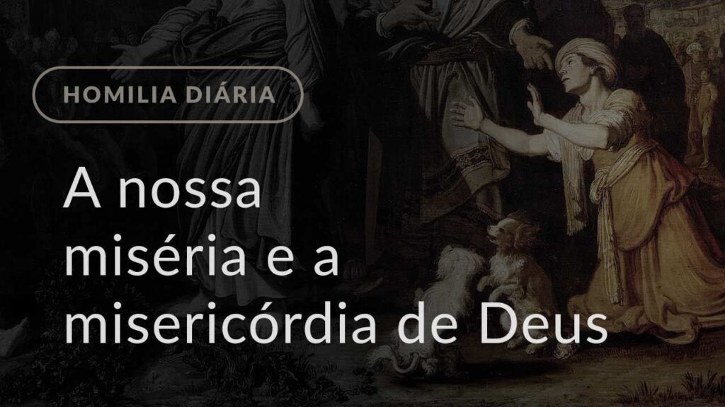 A nossa miséria e a misericórdia de Deus (Homilia Diária.1083: Memória de São Cirilo e São Metódio)