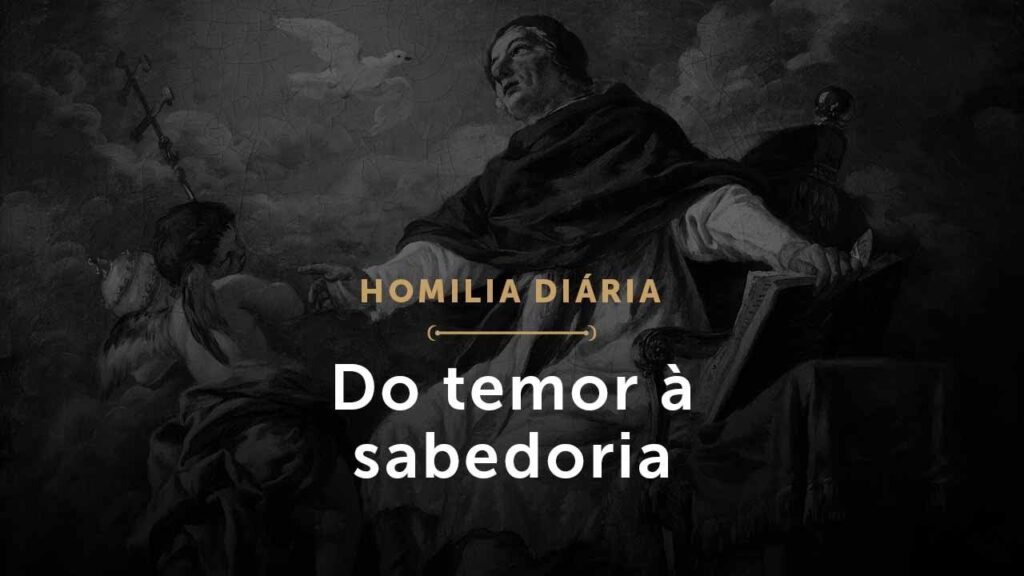 Do temor à sabedoria (Homilia Diária.1480: Sexta-feira da 6.ª Semana da Páscoa)