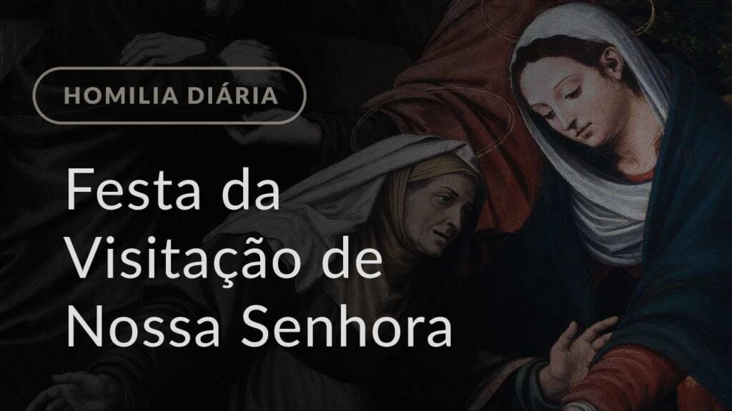 Festa da Visitação de Nossa Senhora (Homilia Diária.1174)