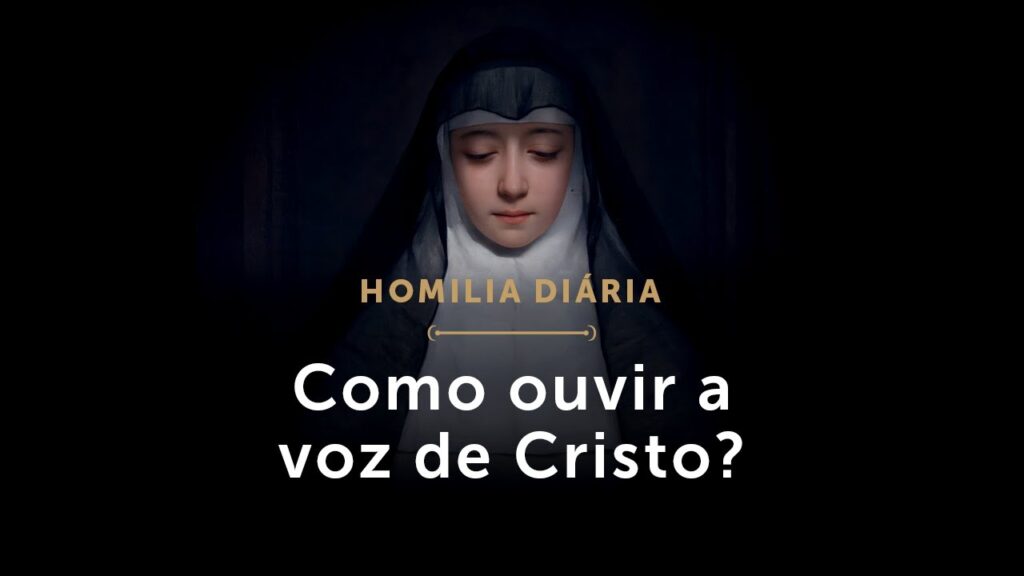 Homilia Diária | Como ouvir a voz de Cristo? (Terça-feira da 4.ª Semana da Páscoa)