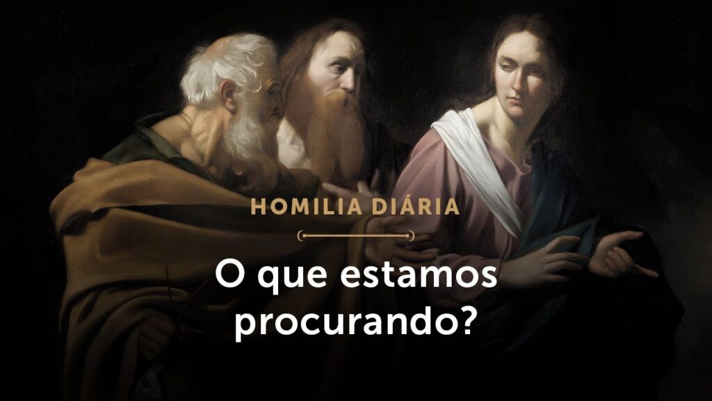 Homilia Diária | O que estamos procurando? (Quarta-feira antes da Epifania do Senhor)