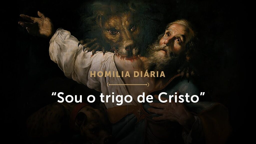 Homilia Diária |  “Sou o trigo de Cristo” (Memória de Santo Inácio de Antioquia, Bispo e Mártir)