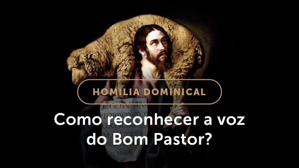 Homilia | O que nos impede de ouvir o Bom Pastor? (4.º Domingo da Páscoa)