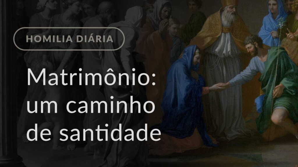 Matrimônio: um caminho de santidade (Homilia Diária.856: Sexta-feira da 7.ª Semana do Tempo Comum)