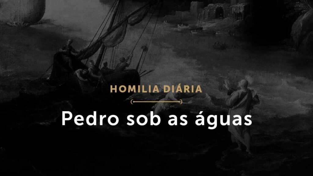 Pedro sob as águas (Homilia Diária.1542: Segunda-feira da 18.ª Semana do Tempo Comum (P))