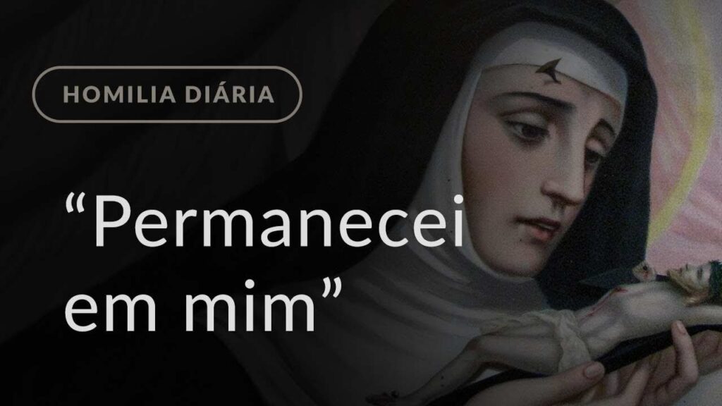 “Permanecei em mim” (Homilia Diária.1166: Quarta-feira da 5.ª Semana da Páscoa)