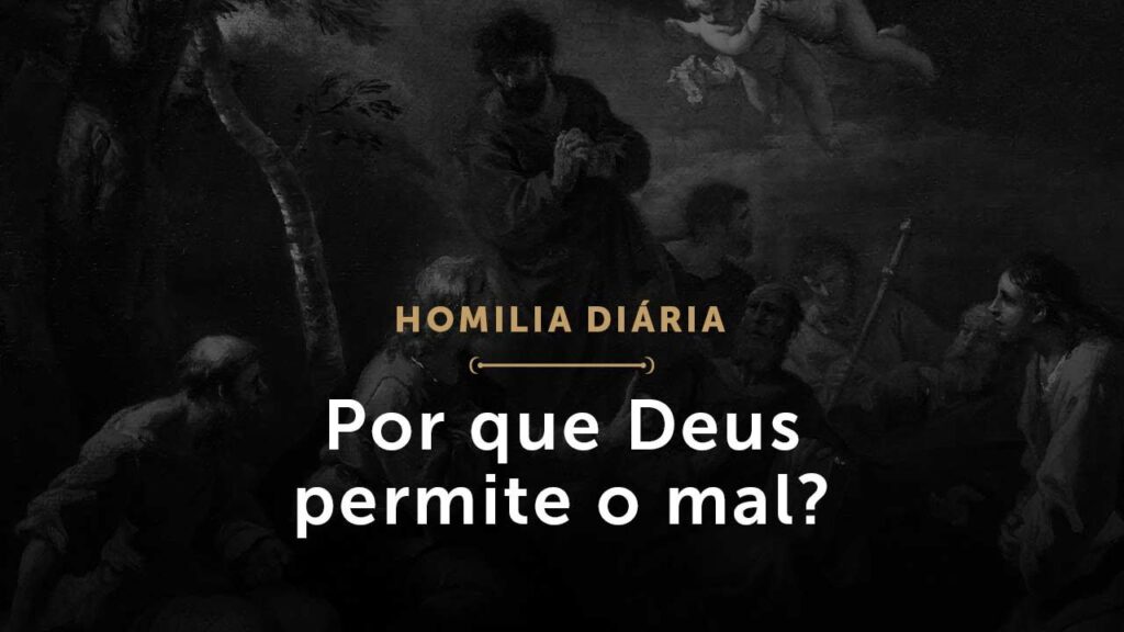 Por que Deus permite o mal? (Homilia Diária.1537: Terça-feira da 17.ª Semana do Tempo Comum)