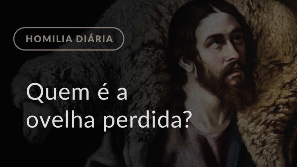 Quem é a ovelha perdida? (Homilia Diária.1027: Terça-feira da 2.ª Semana do Advento)