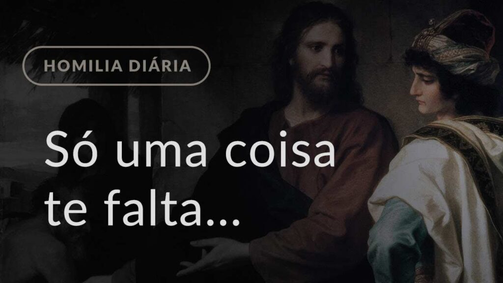 Só uma coisa te falta... (Homilia Diária.1098: Segunda-feira da 8.ª Semana do Tempo Comum)