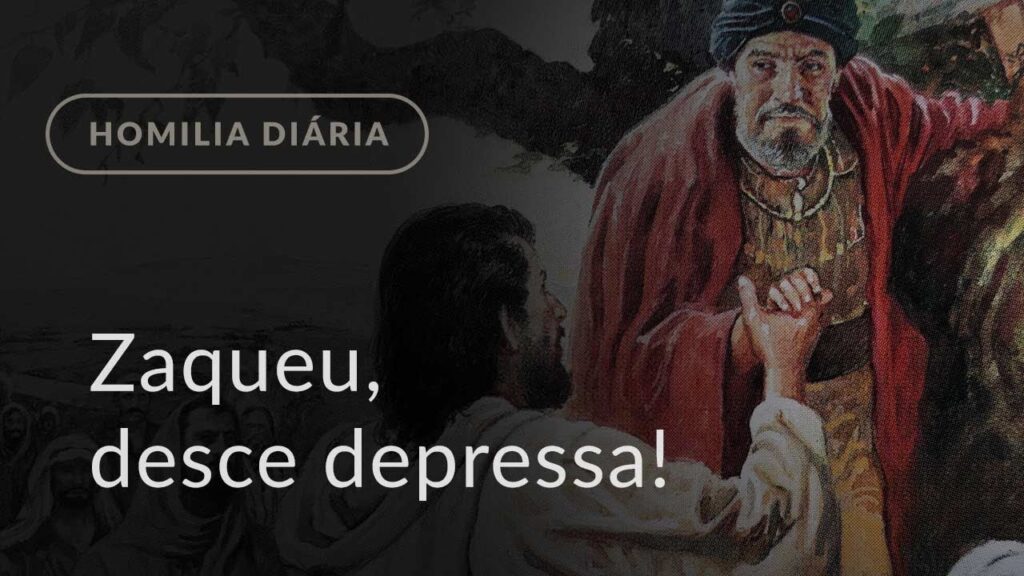 Zaqueu, desce depressa! (Homilia Diária.1009: Terça-feira da 33.ª Semana do Tempo Comum)