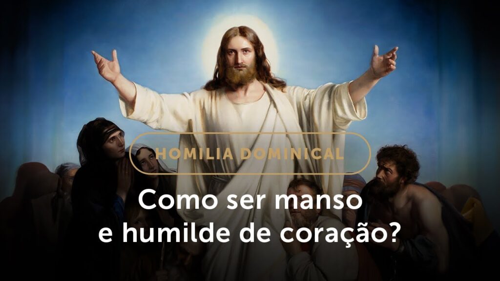 Homilia Dominical | Humildade e mansidão: dois caminhos para amar (14.º Domingo do Tempo Comum)