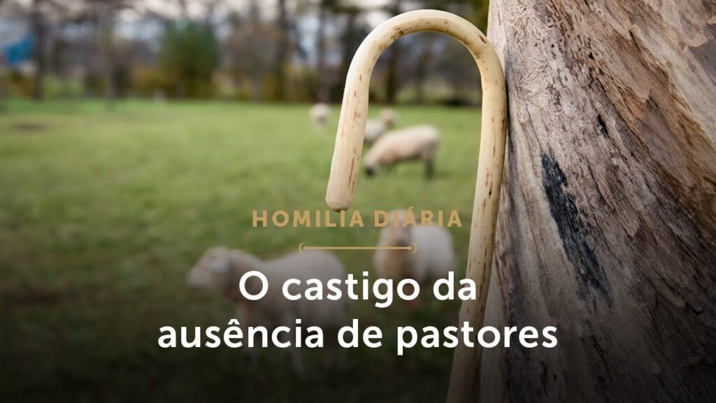 Homilia Diária | Por que precisamos de pastores? (Sábado da 1.ª Semana do Advento)