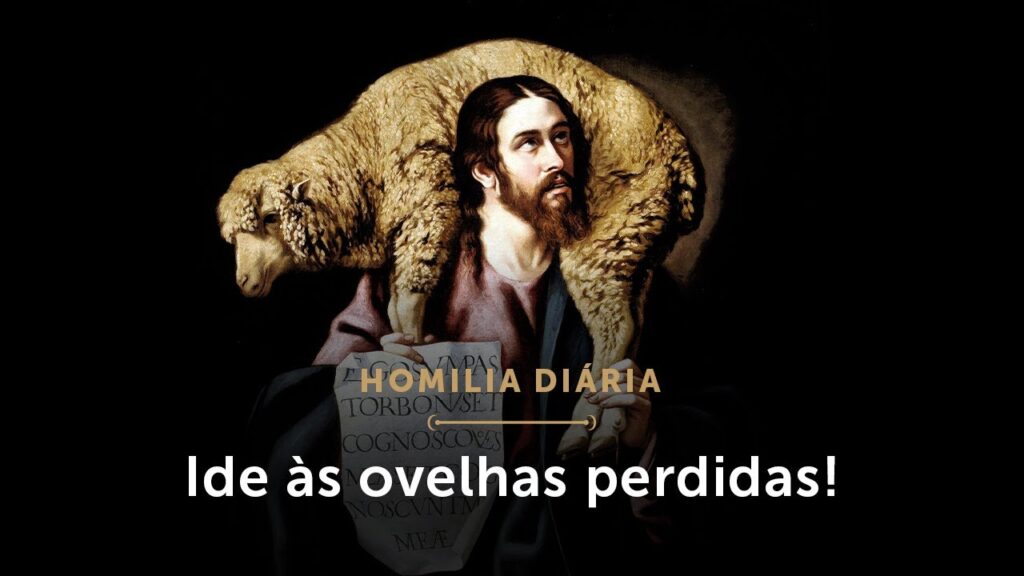 Homilia Diária | Quarta-feira da 14.ª Semana do Tempo Comum (I) — Ide, antes, às ovelhas perdida...