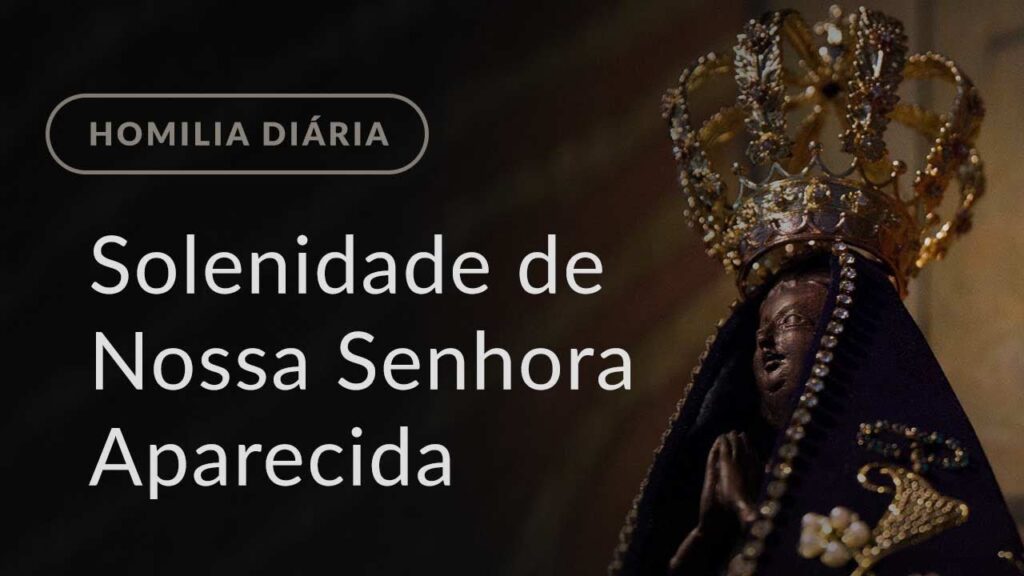 Solenidade de Nossa Senhora Aparecida (Homilia Diária.976)