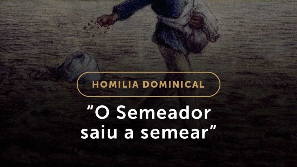 Os cuidados necessários com a semeadura de Deus (Homilia Dominical.513: 15.º Domingo do Tempo Comum)