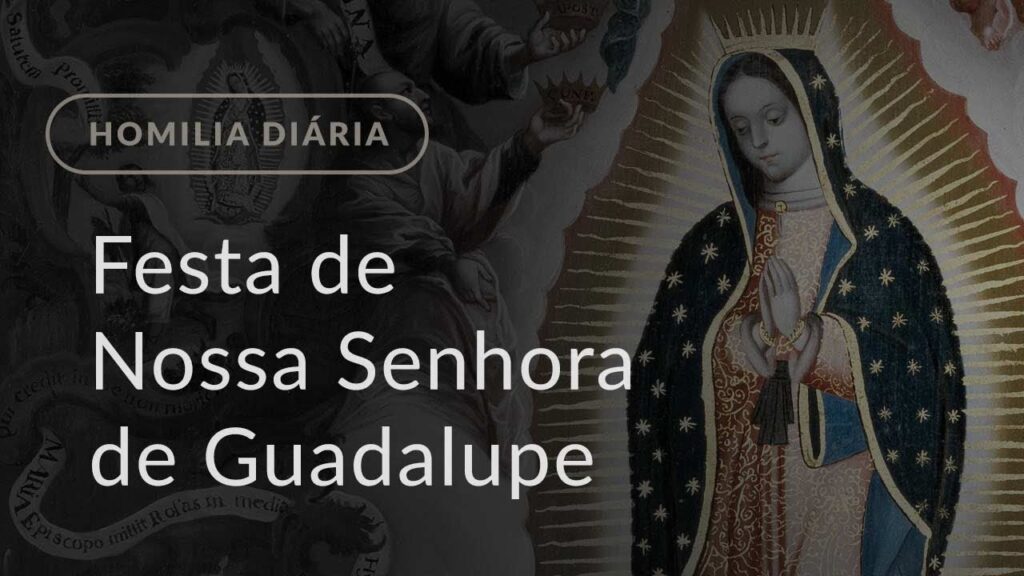 Festa de Nossa Senhora de Guadalupe, Padroeira da América Latina (Homilia Diária.1341)