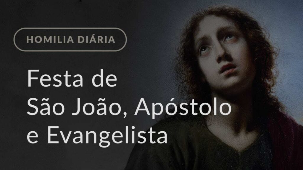 Festa de São João, Apóstolo e Evangelista (Homilia Diária.1041)