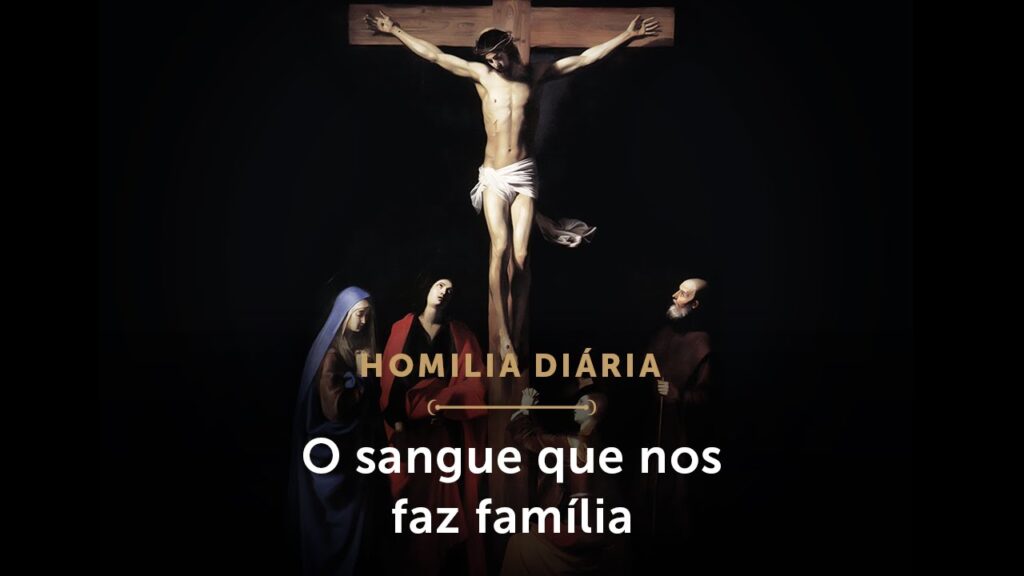 Homilia Diária | O sangue que nos faz família (Terça-feira da 16.ª Semana do Tempo Comum)