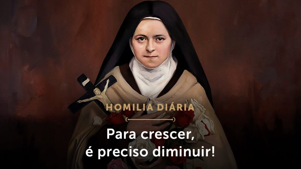 Homilia Diária | Para crescer, é preciso diminuir! (Terça-feira da 19.ª Semana do Tempo Comum)