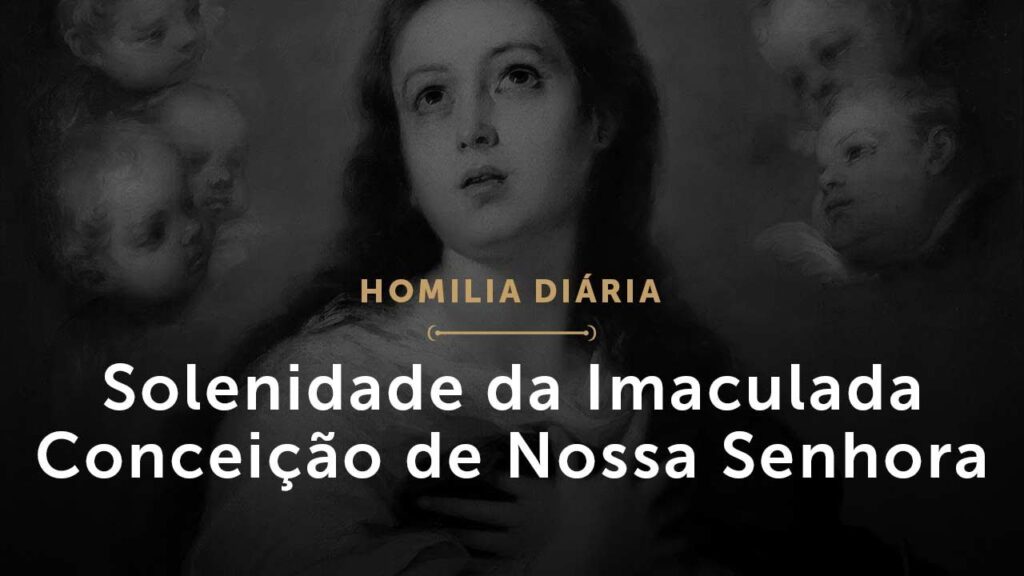 Homilia Diária: Solenidade da Imaculada Conceição de Nossa Senhora (1651: 08 de dezembro)