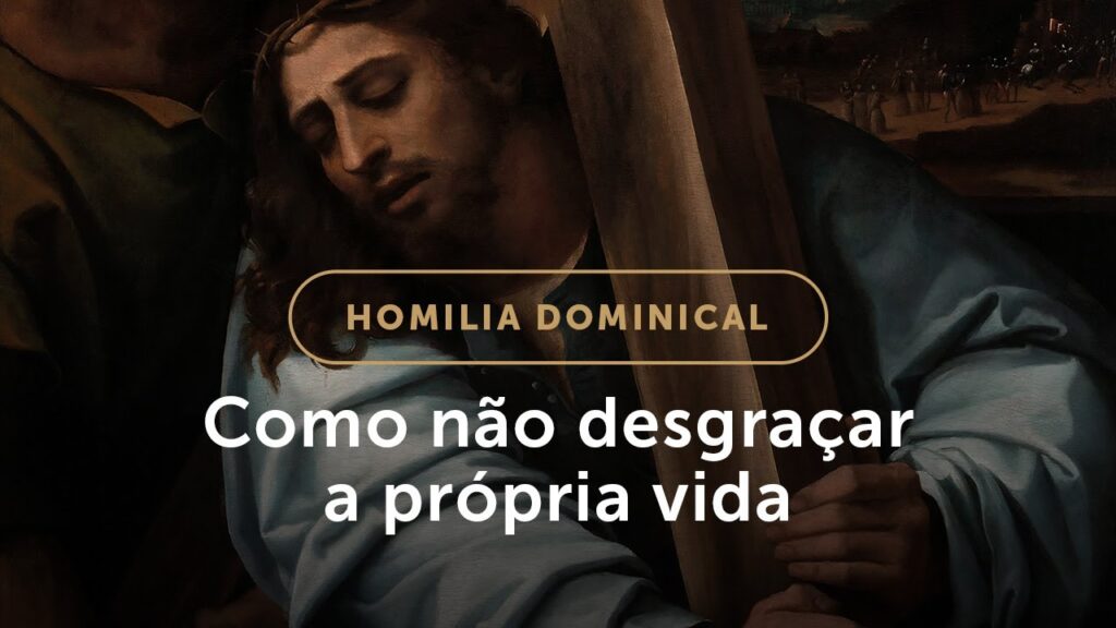 Homilia |  Três passos para a verdadeira felicidade (6.º Domingo do Tempo Comum)