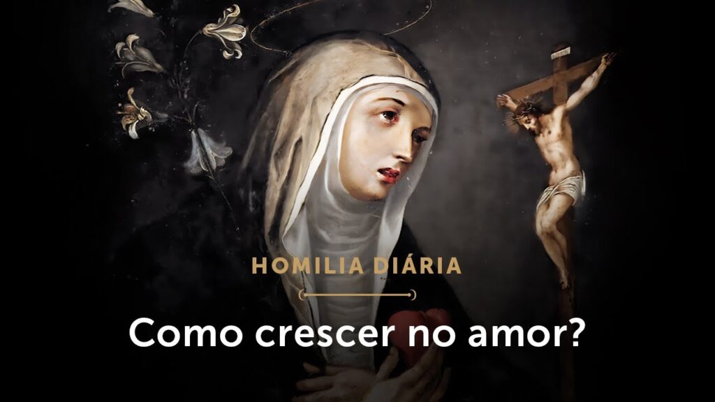 Homilia Diária | Como progredir no amor? (Quinta-feira da 7.ª Semana da Páscoa)