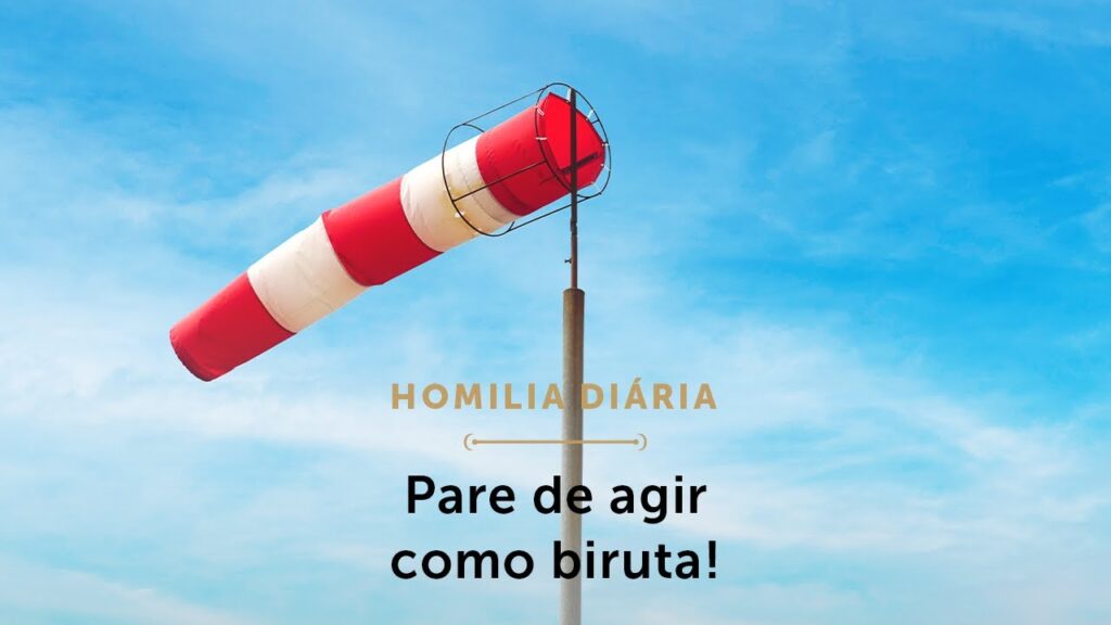 Homilia Diária | Pare de agir como biruta! (Segunda-feira da 20.ª Semana do Tempo Comum)