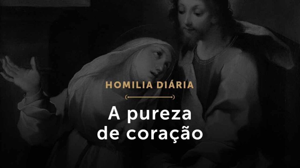 A pureza de coração (Homilia Diária.1603: Terça-feira da 28.ª Semana do Tempo Comum)