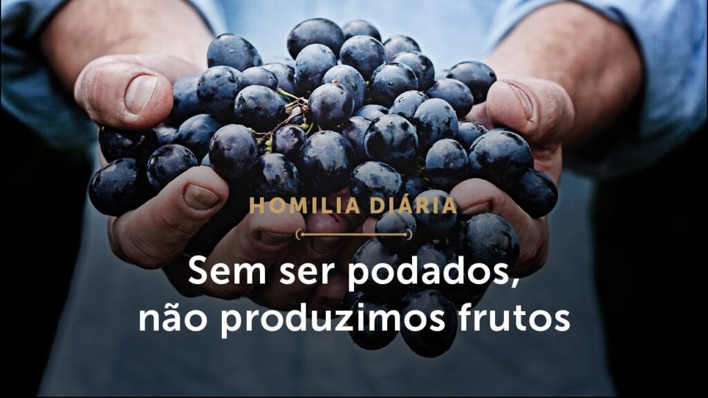 Homilia Diária | Sem ser podados, não produzimos frutos (Quarta-feira da 5.ª Semana da Páscoa)
