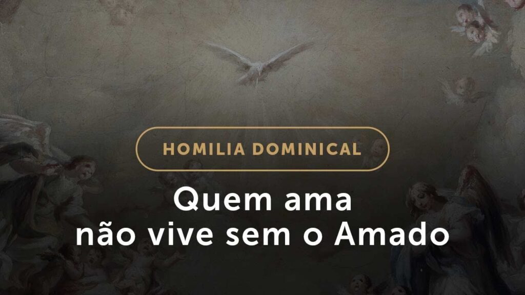 Quem ama não vive sem o Amado (Homilia Dominical.505: 6.º Domingo da Páscoa)