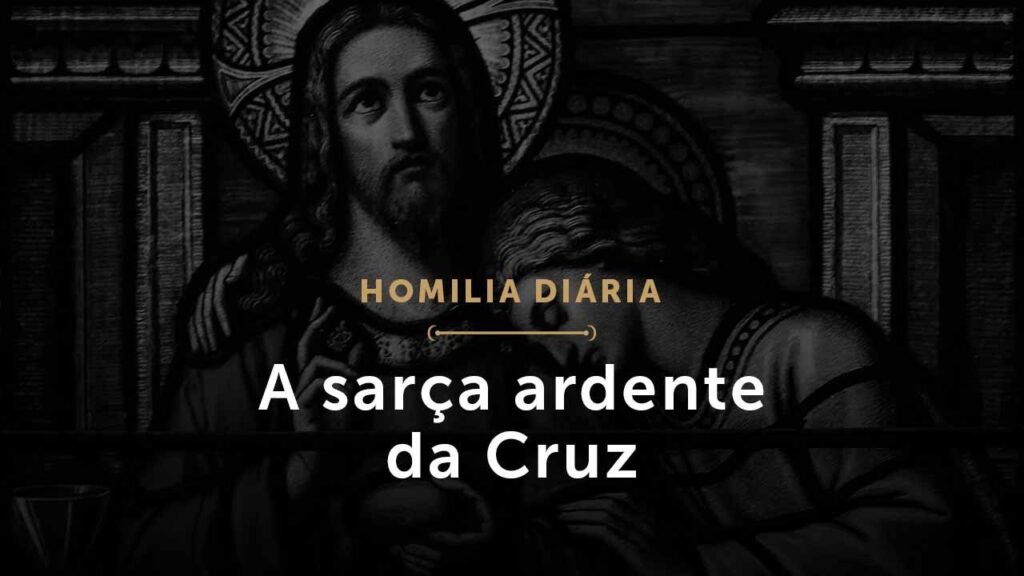 A sarça ardente da Cruz (Homilia Diária.1467: Quinta-feira da 4.ª Semana da Páscoa)