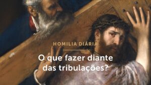 Homilia Diária | A Paz de Cristo e as tribulações (Segunda-feira 7.ª Semana da Páscoa)