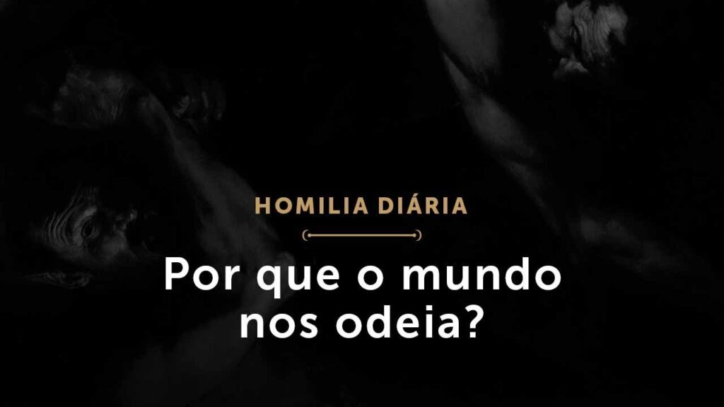 Por que o mundo nos odeia? (Homilia Diária.1475: Sábado da 5.ª Semana da Páscoa)
